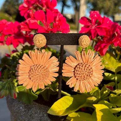 Neutral Earrings