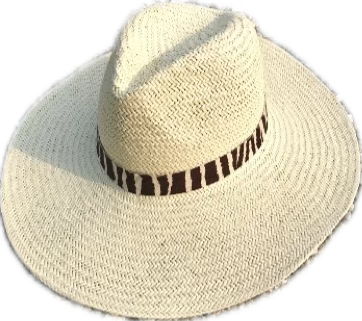 Panama Hat Zebra