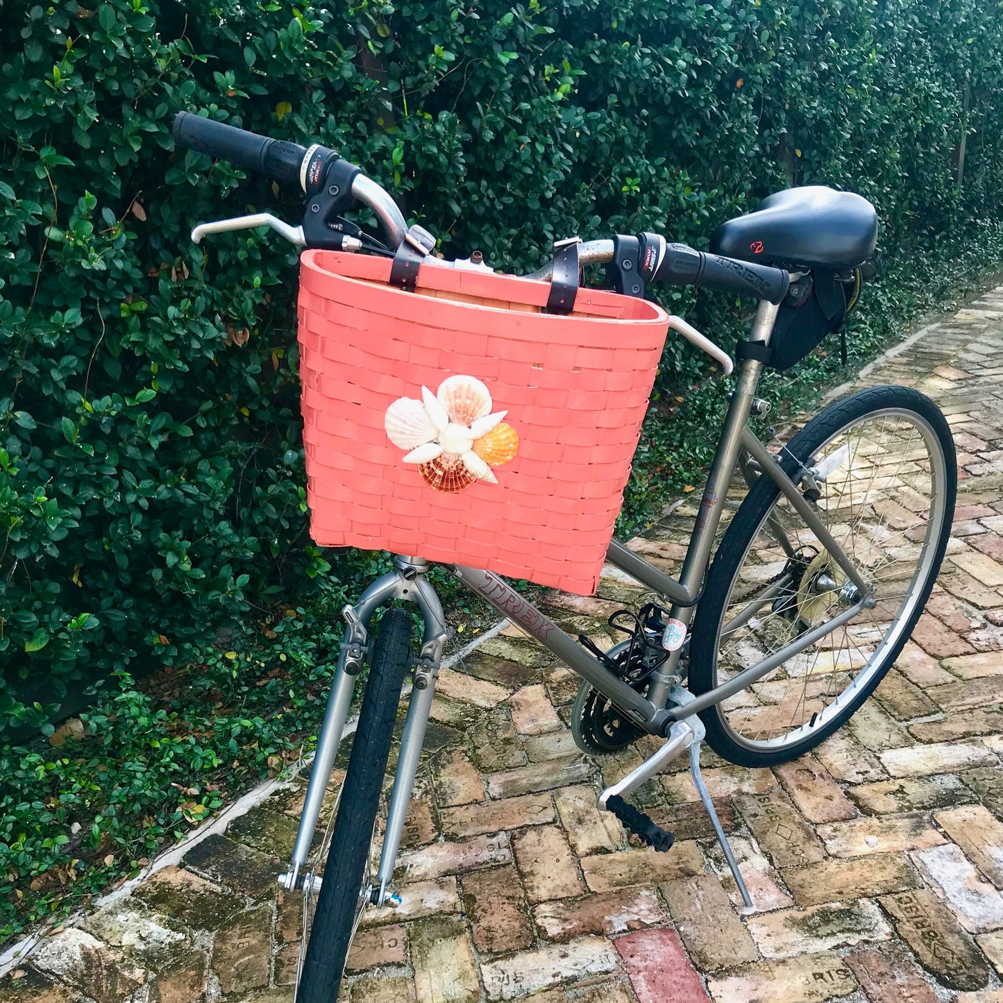 Bike Basket - Coral Shell